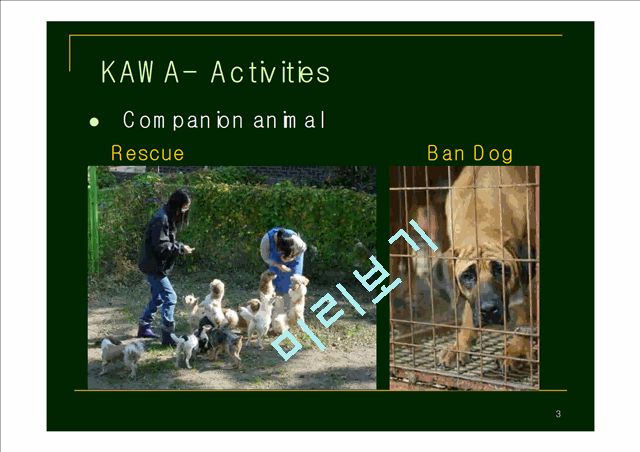 [사회복지학] Farm Animal Welfare Campaign of KAWA, Ms. Hee kyung Jo, KAWA   (3 )